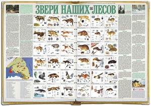 56