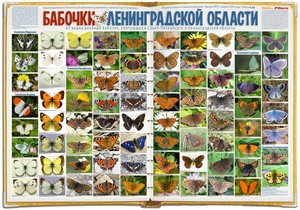 92